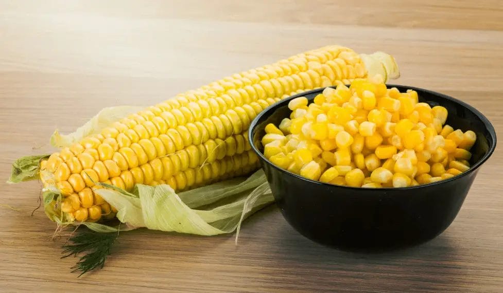 Top 9 American Food Capture decran 2024 12 20 230824